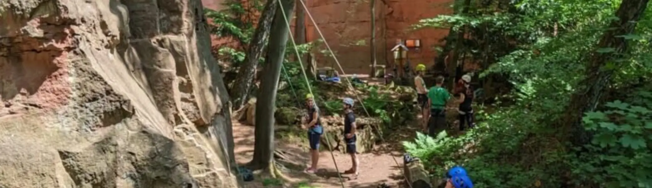 Gruppe von Kletter*innen sichert und beobachtet eine Person beim Klettern an einer roten Felswand im Wald. | © JDAV