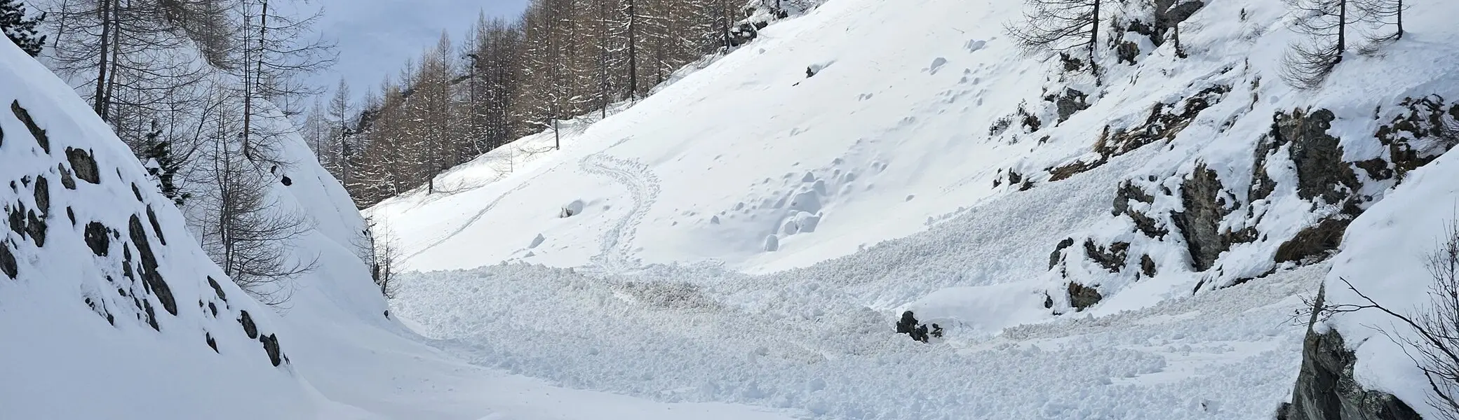 Blick in ein verschneites Tal mit Ski- oder Rodelspuren, von Bäumen gesäumt | © DAV Dortmund