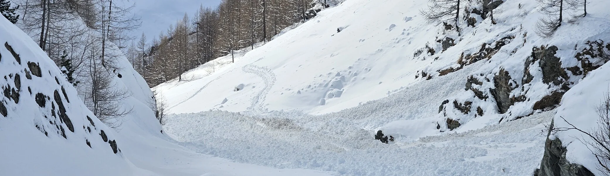 Blick in ein verschneites Tal mit Ski- oder Rodelspuren, von Bäumen gesäumt | © DAV Dortmund