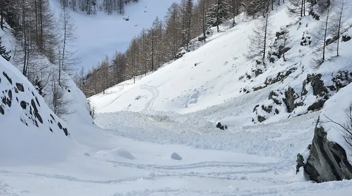 Blick in ein verschneites Tal mit Ski- oder Rodelspuren, von Bäumen gesäumt | © DAV Dortmund