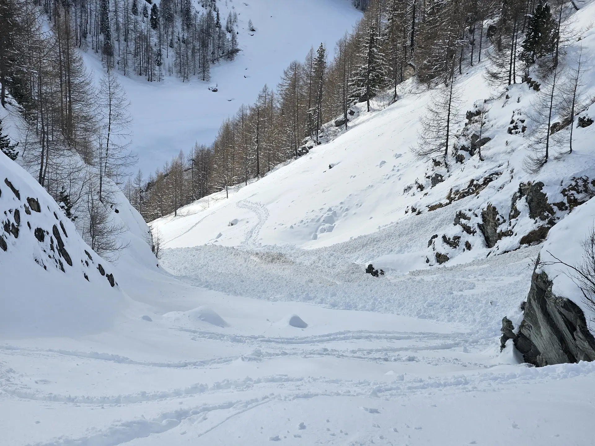Blick in ein verschneites Tal mit Ski- oder Rodelspuren, von Bäumen gesäumt | © DAV Dortmund