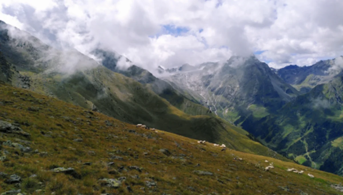 Grüne Berghänge mit grasenden Schafen, darüber ziehen Nebelschwaden in Richtung der Gipfel. | © DAV Dortmund