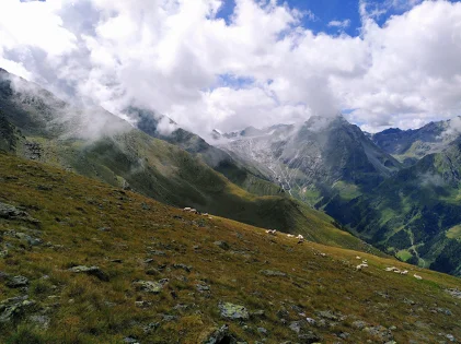 Grüne Berghänge mit grasenden Schafen, darüber ziehen Nebelschwaden in Richtung der Gipfel. | © DAV Dortmund