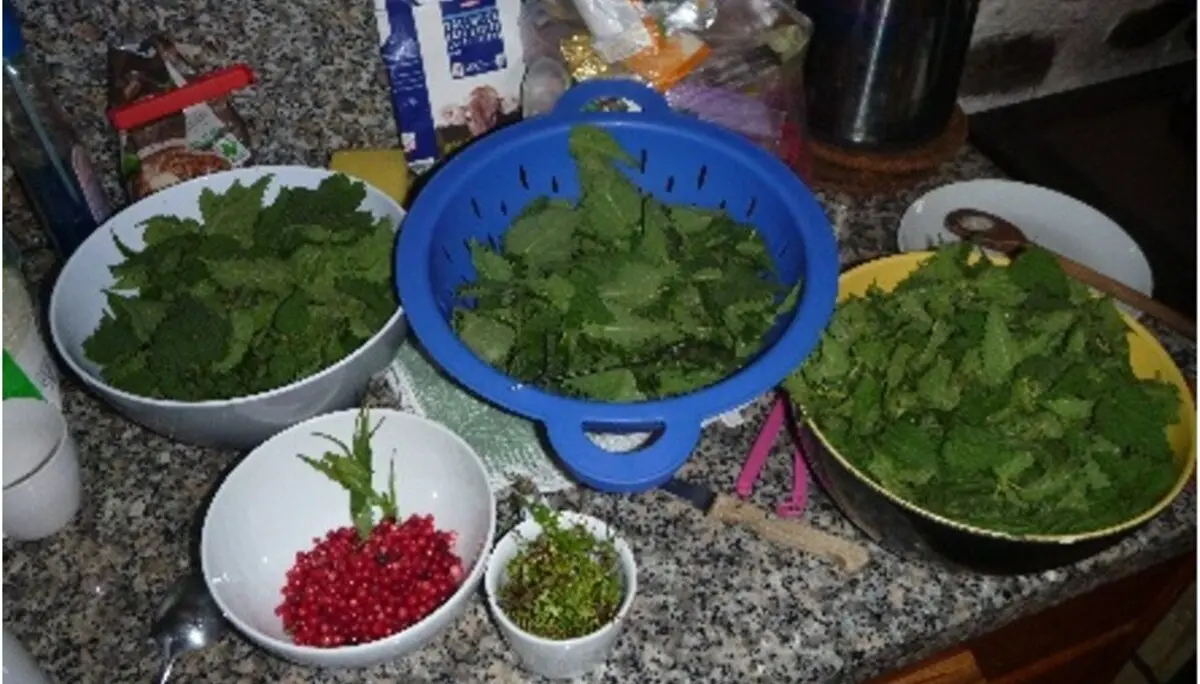 Verschiedene Wildkräuter und Beeren in Schalen auf einer Küchenarbeitsplatte, bereit zur Verarbeitung. | © DAV Dortmund