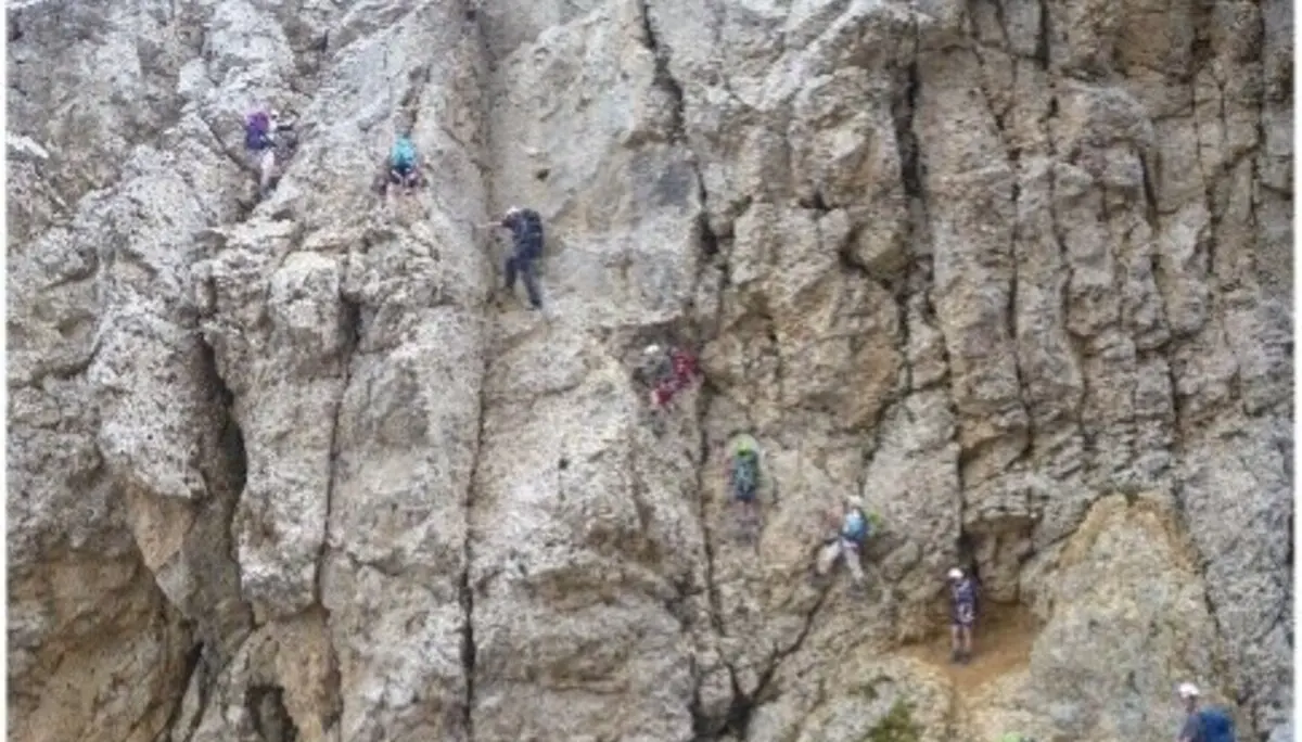 Mehrere Personen sind gleichzeitig auf einer großen, strukturierten Kletterwand aktiv. | © DAV Dortmund
