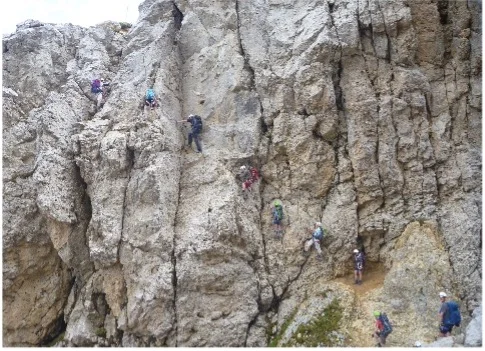 Mehrere Personen sind gleichzeitig auf einer großen, strukturierten Kletterwand aktiv. | © DAV Dortmund