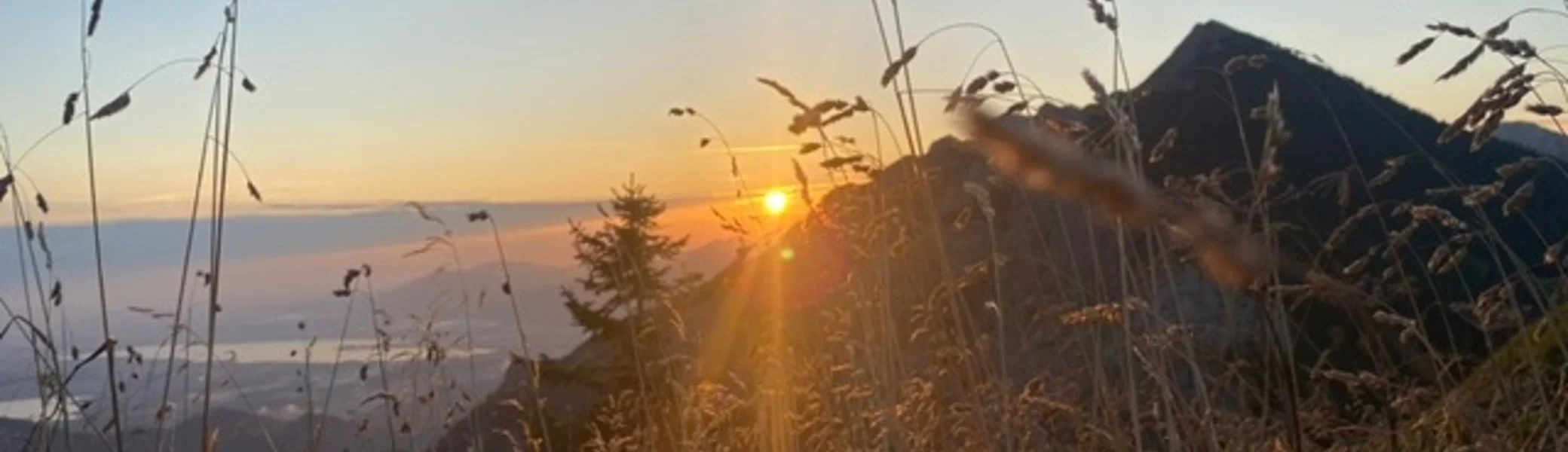 Die Sonne geht zwischen Berggipfeln auf, im Vordergrund hohe Gräser. | © KD Schüler 
