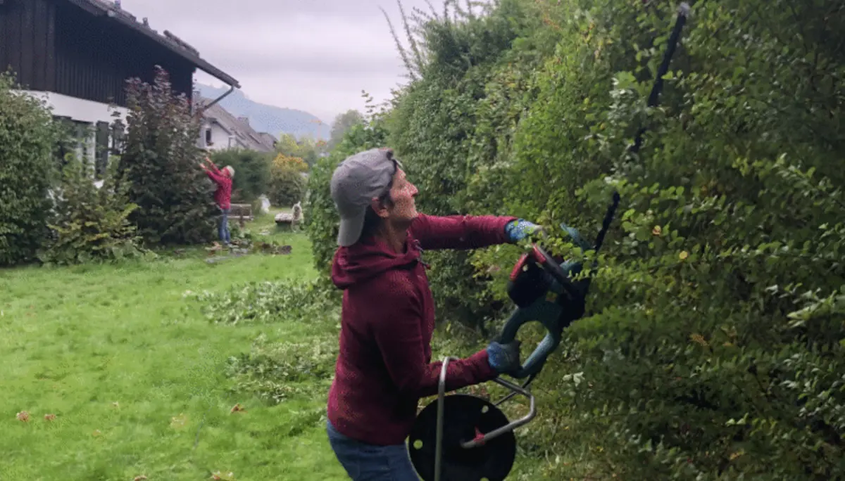 Eine Frau mit Motorsäge schneidet eine hohe Hecke im Garten neben einem Haus. | © DAV Dortmund
