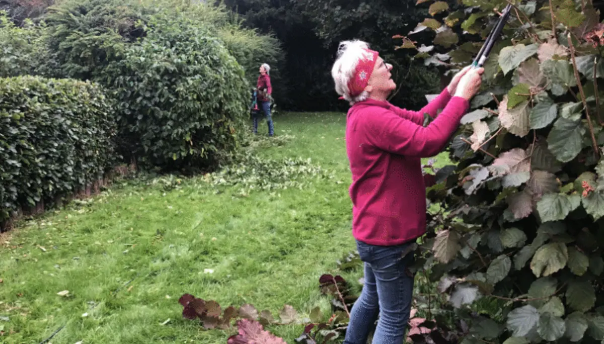 Frau mit rotem Stirnband schneidet eine große Hecke, abgeschnittene Äste liegen auf dem Boden. | © DAV Dortmund