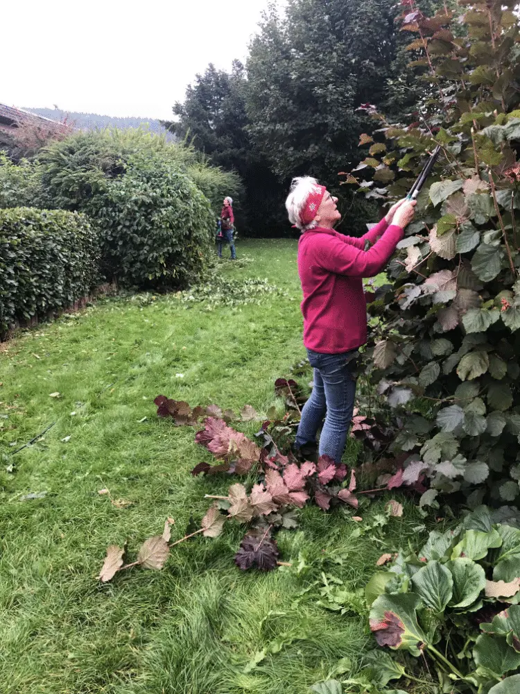Frau mit rotem Stirnband schneidet eine große Hecke, abgeschnittene Äste liegen auf dem Boden. | © DAV Dortmund