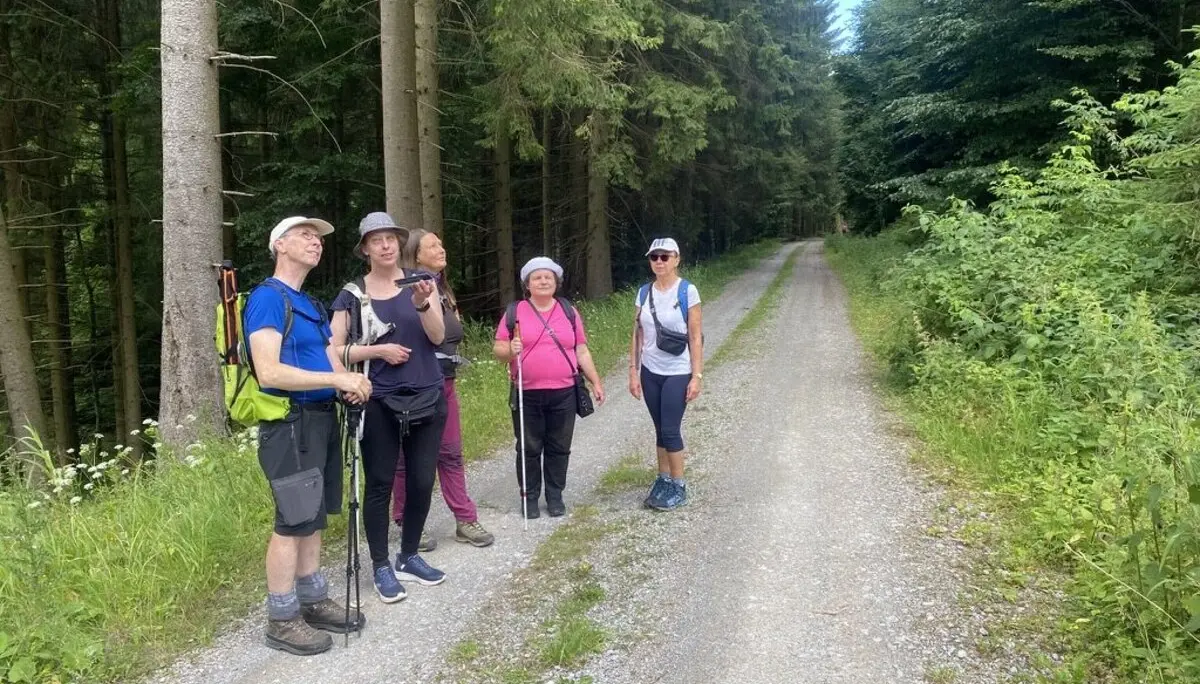 Fünf Wandernde stehen auf einem Waldweg neben hohen Bäumen und machen eine kurze Pause, einige mit Wanderstöcken und Hüten. | © DAV Dortmund