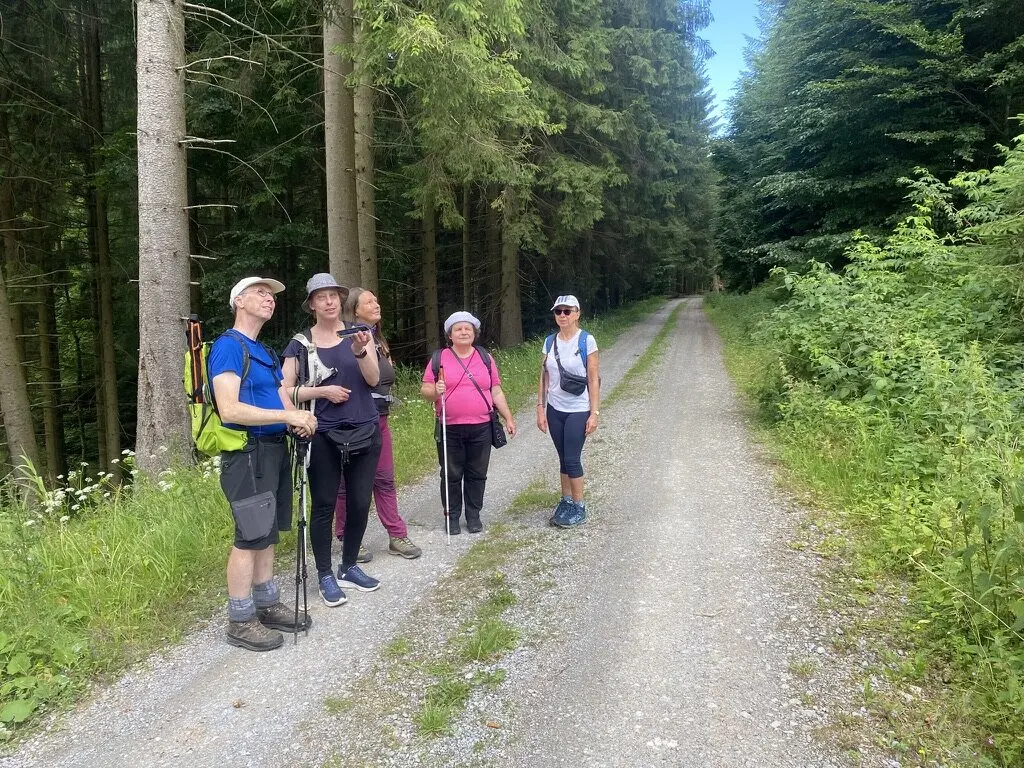 Fünf Wandernde stehen auf einem Waldweg neben hohen Bäumen und machen eine kurze Pause, einige mit Wanderstöcken und Hüten. | © DAV Dortmund