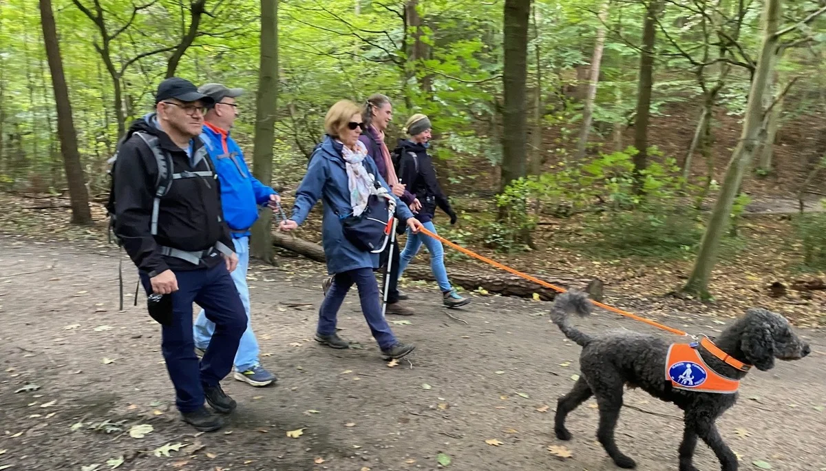 Drei Personen laufen im Wald hinter einem Assistenzhund, der an einer Leine geführt wird. | © DAV Dortmund