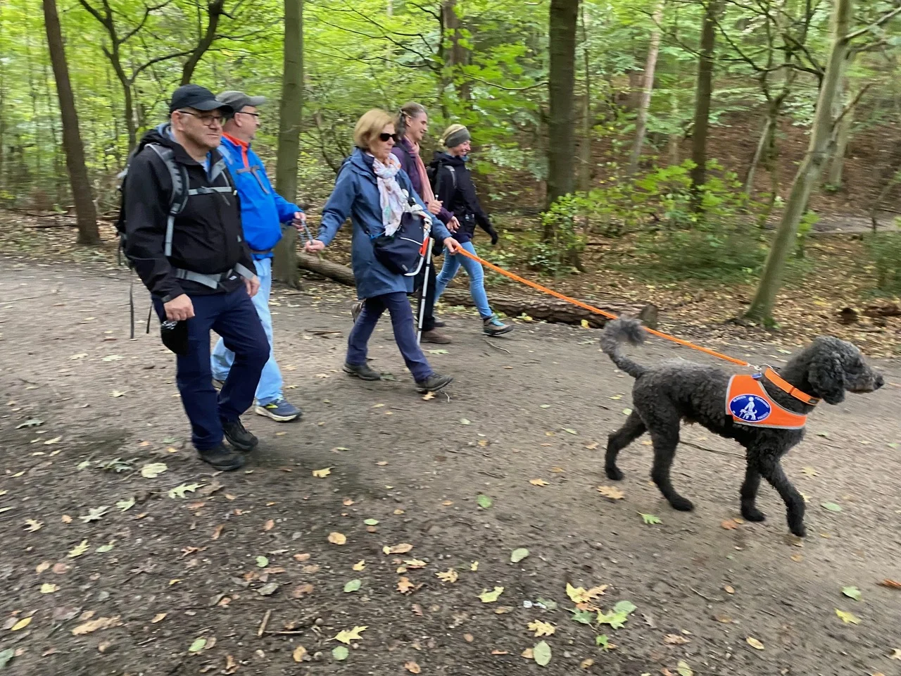Drei Personen laufen im Wald hinter einem Assistenzhund, der an einer Leine geführt wird. | © DAV Dortmund