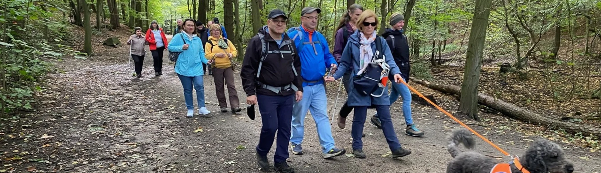Eine Gruppe wandert auf einem breiten Waldweg, vorne läuft ein Assistenzhund mit orangefarbener Weste. | © DAV Dortmund