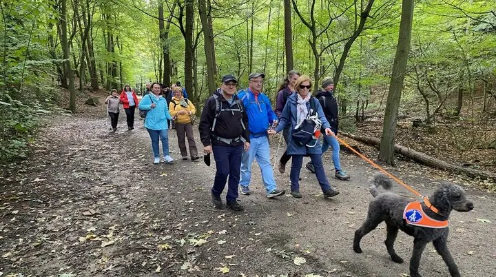 Eine Gruppe wandert auf einem breiten Waldweg, vorne läuft ein Assistenzhund mit orangefarbener Weste. | © DAV Dortmund