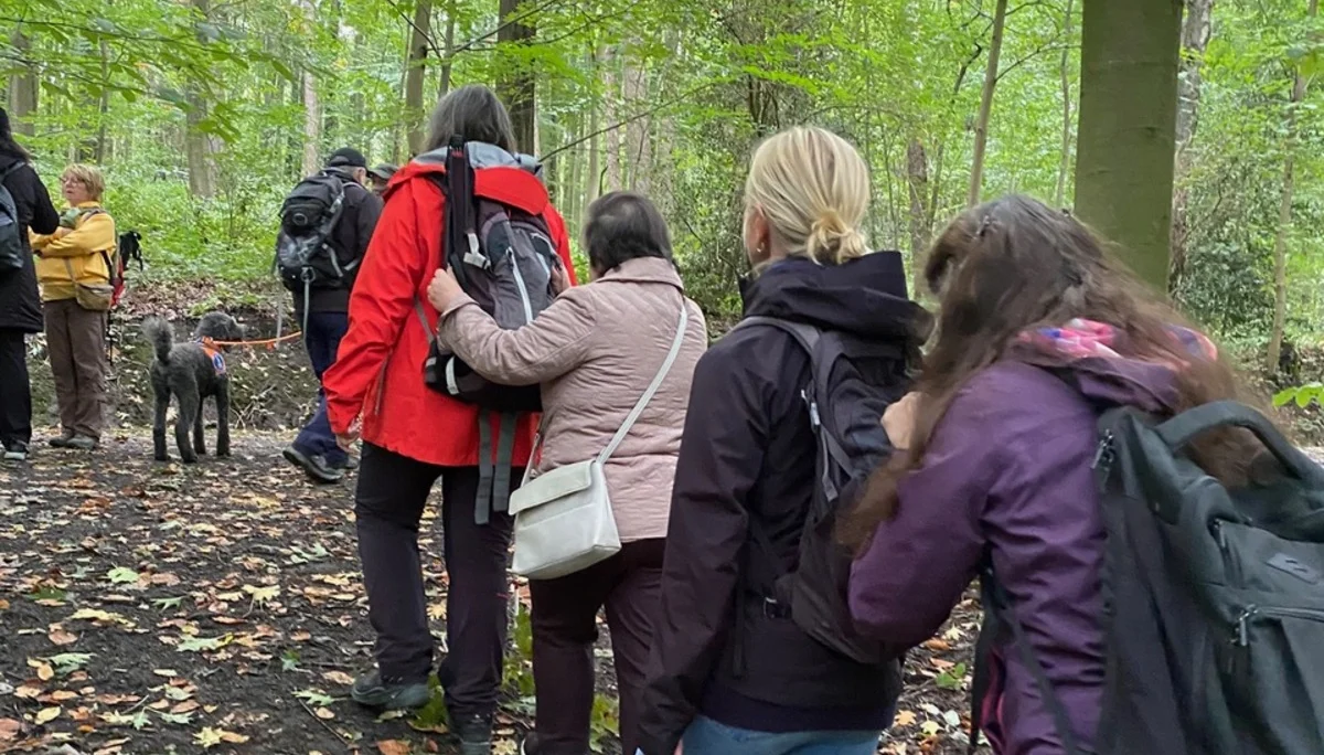 Eine Wandergruppe geht im Wald, die Teilnehmenden laufen mit Handkontakt hintereinander. | © DAV Dortmund