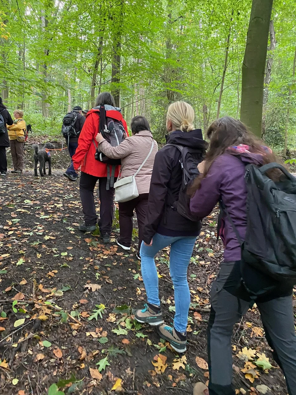 Eine Wandergruppe geht im Wald, die Teilnehmenden laufen mit Handkontakt hintereinander. | © DAV Dortmund