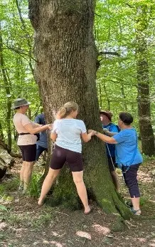 Teilnehmende der Inklusionsgruppe erkunden gemeinsam einen großen Baum im Wald und erleben die Natur mit allen Sinnen. | © DAV Dortmund