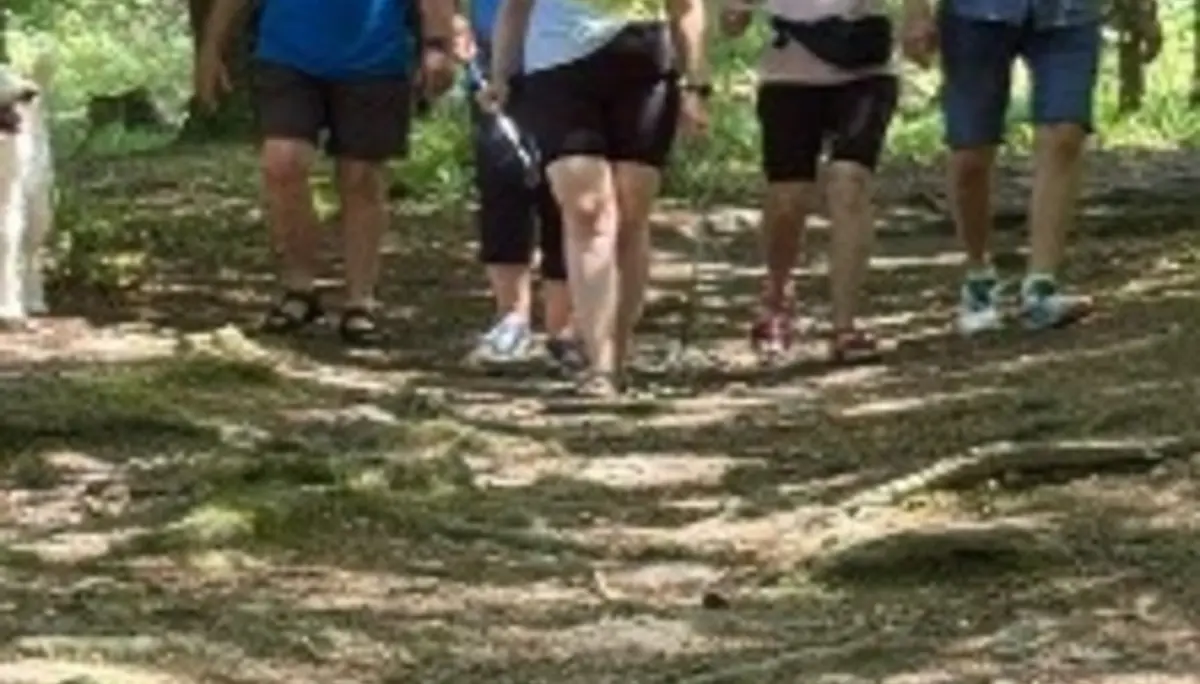 Teilnehmende der Inklusionsgruppe wandern gemeinsam auf einem Waldweg und genießen die Natur. | © DAV Dortmund