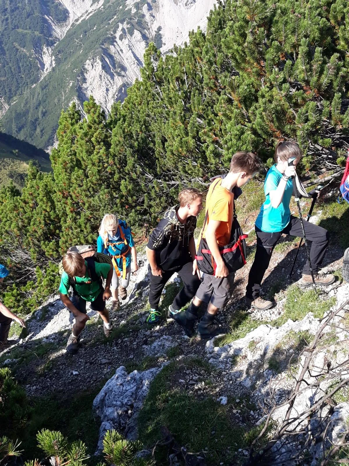 Eine Gruppe Jugendlicher wandert bergauf auf einem schmalen Pfad zwischen Nadelbäumen und Felsen. | © DAV Dortmund