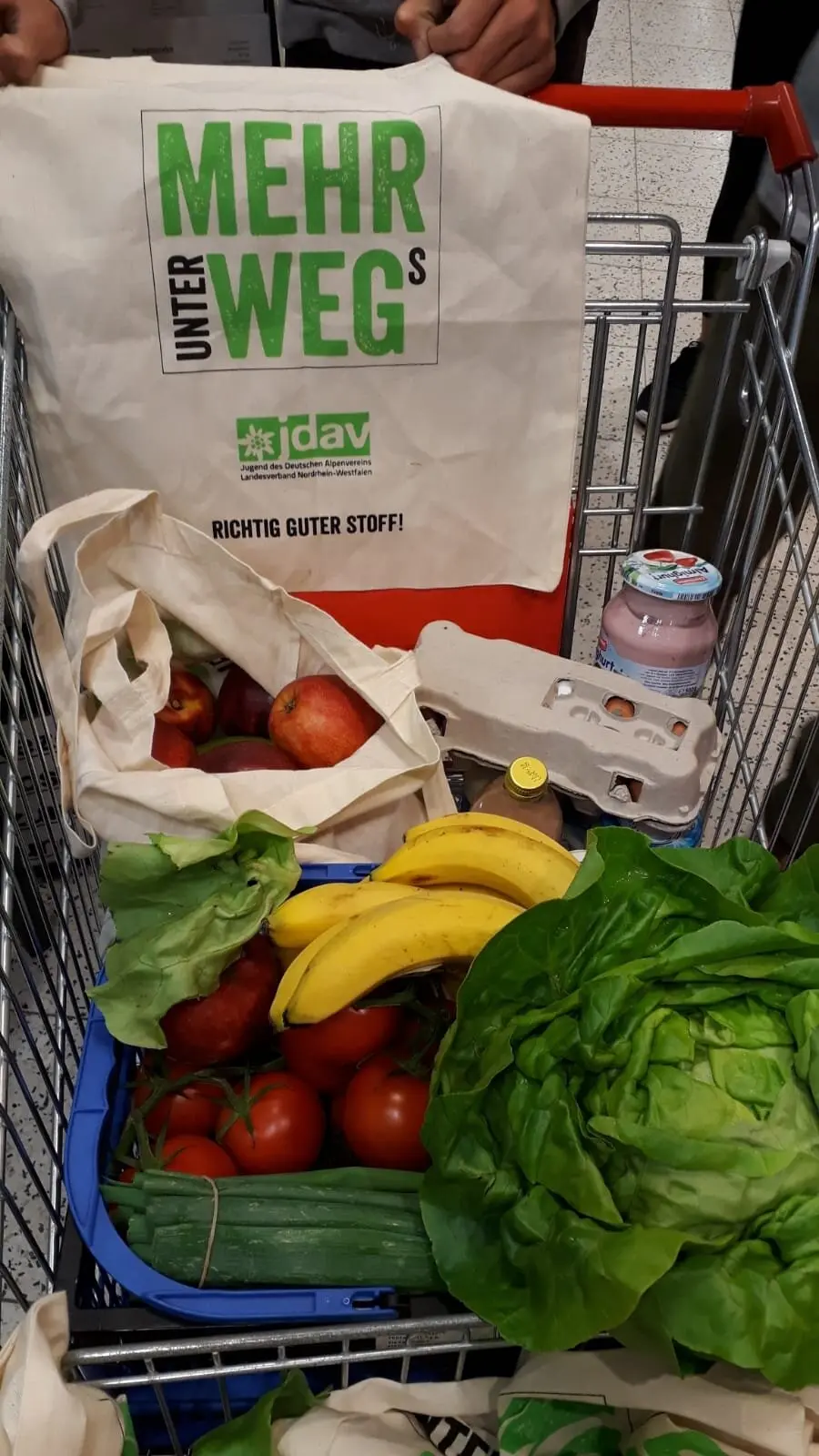 Einkaufswagen mit frischem Obst, Gemüse und Stofftaschen mit dem Aufdruck „Mehrweg“. | © DAV Dortmund