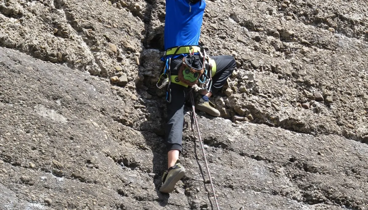 Ein Junge mit Klettergurt erklimmt konzentriert eine künstliche Kletterwand. | © DAV Dortmund