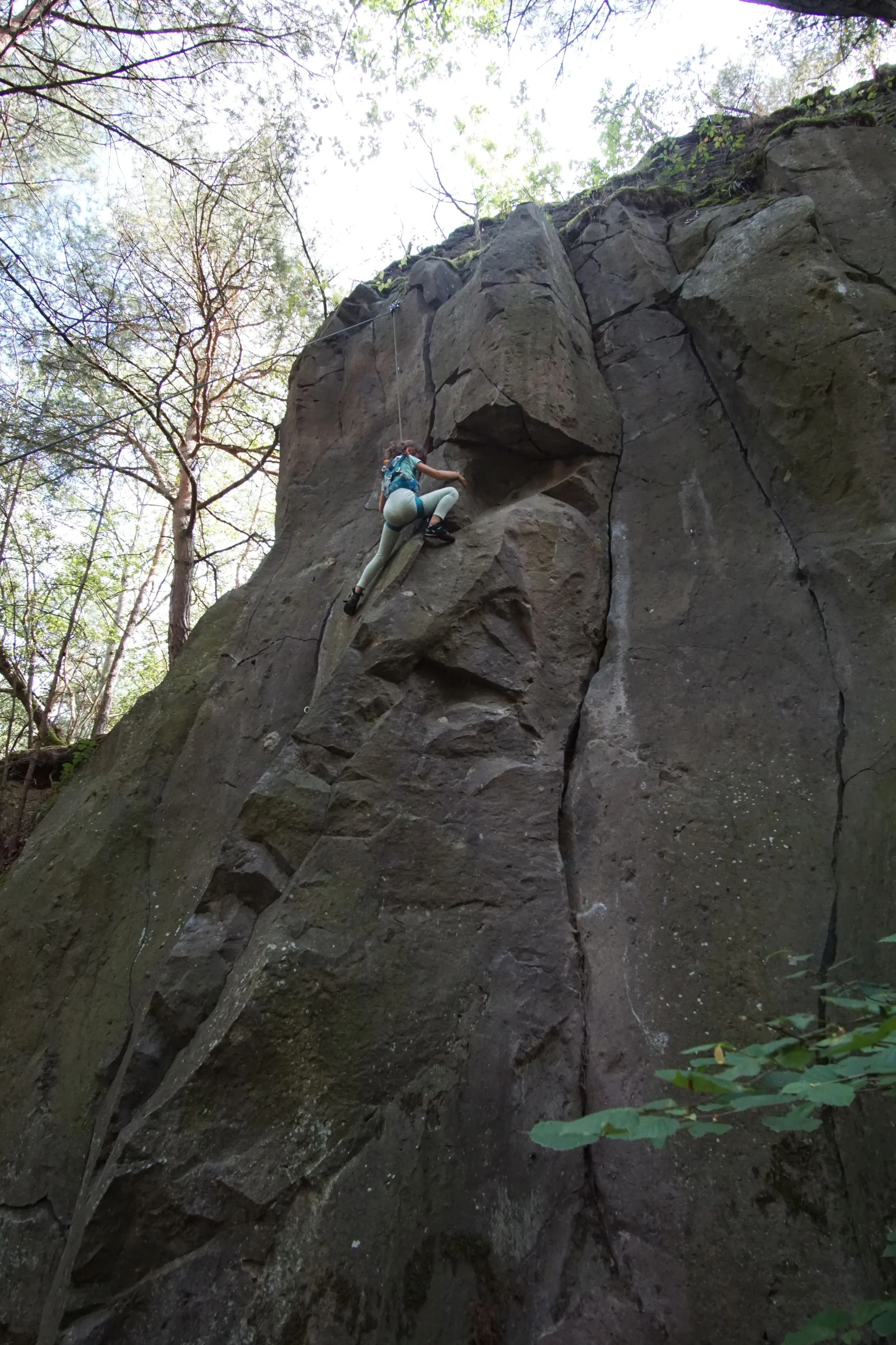 Eine Person klettert eine senkrechte, strukturierte Felswand in einem schattigen Waldgebiet empor. | © DAV Dortmund
