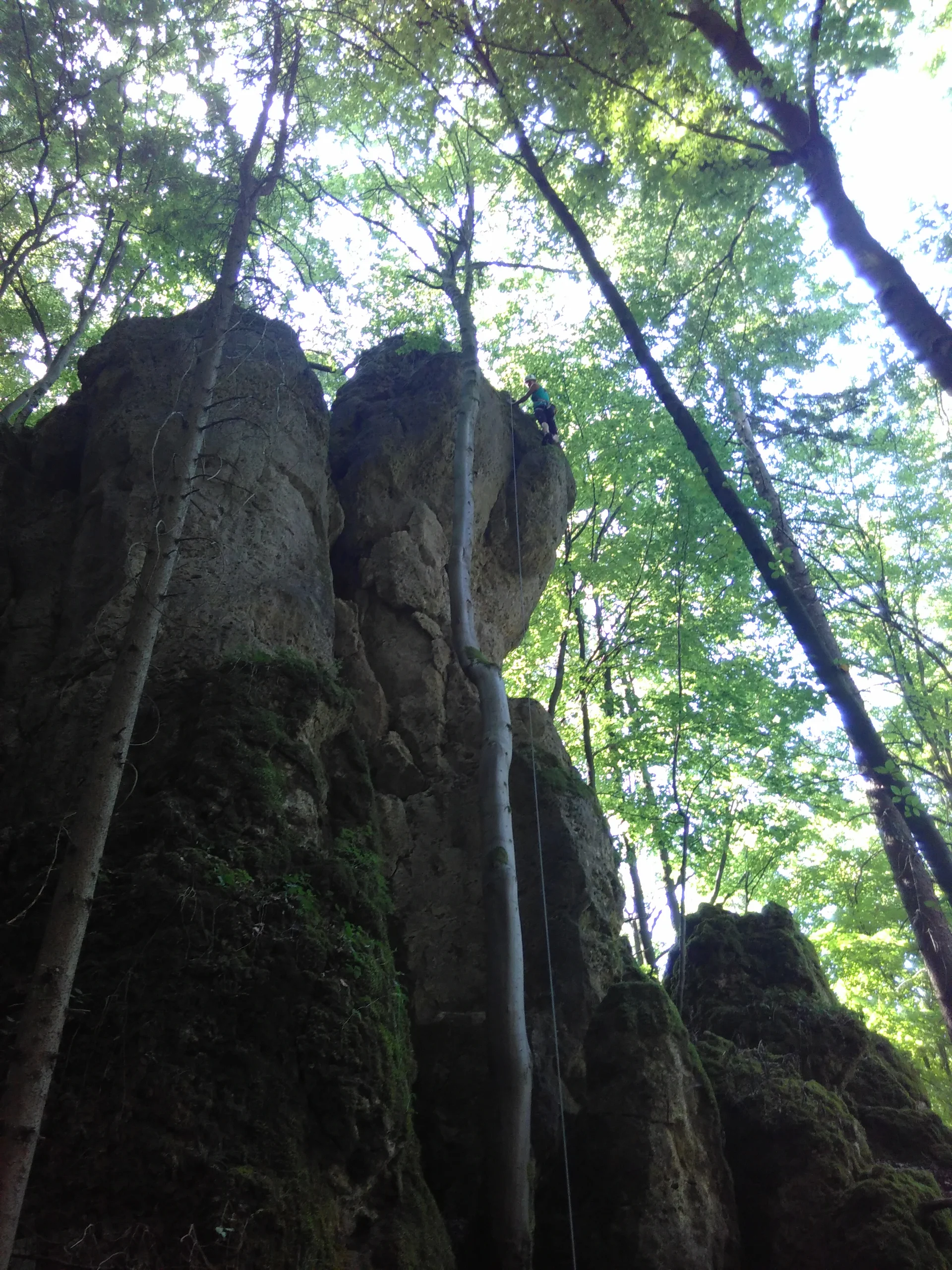 Hohe Felswand mit Sicherungsseil und Baum daneben im Wald. | © DAV Dortmund