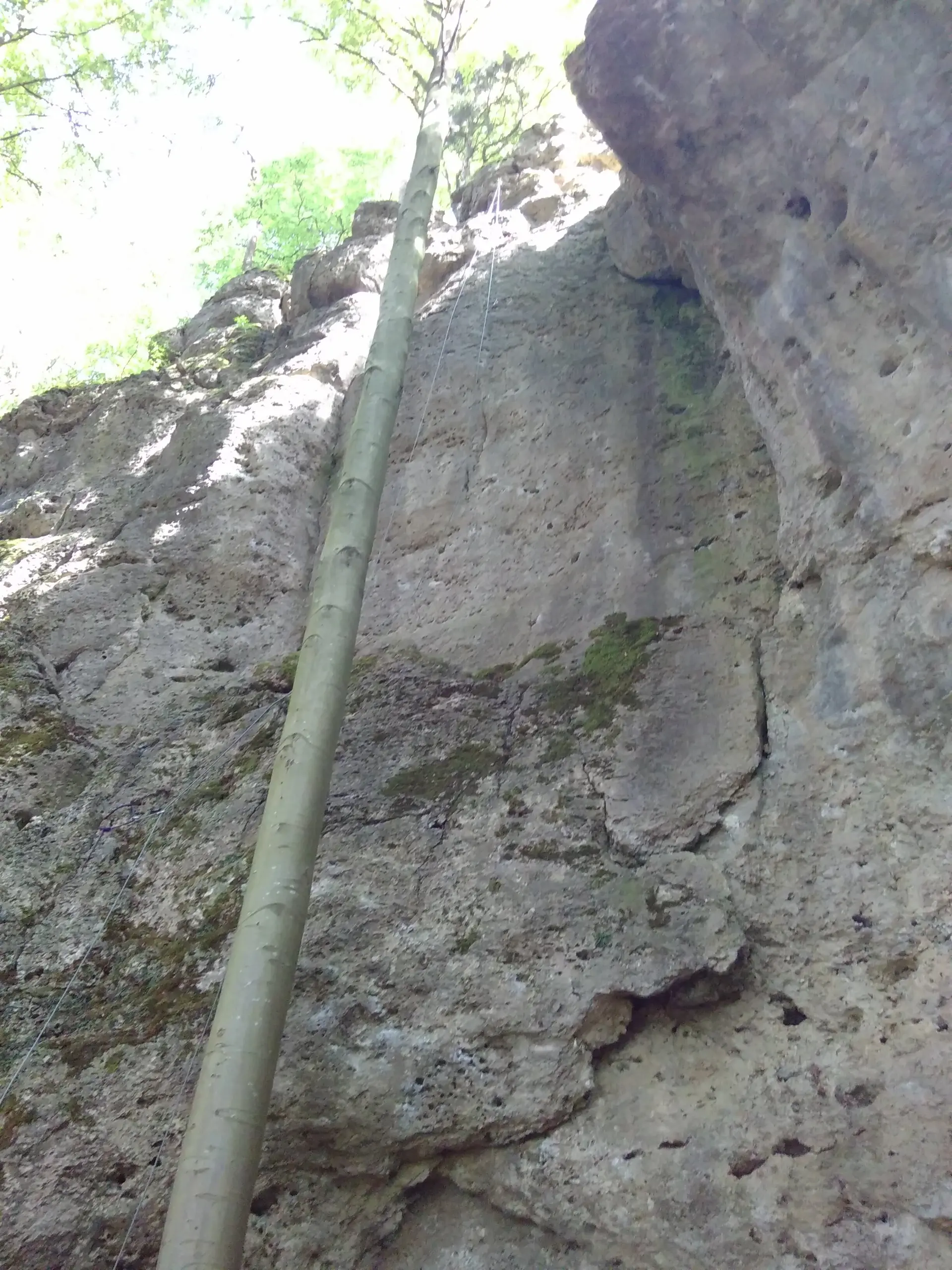Großer Fels mit langem Seil und umliegenden Bäumen bei Tageslicht. | © DAV Dortmund