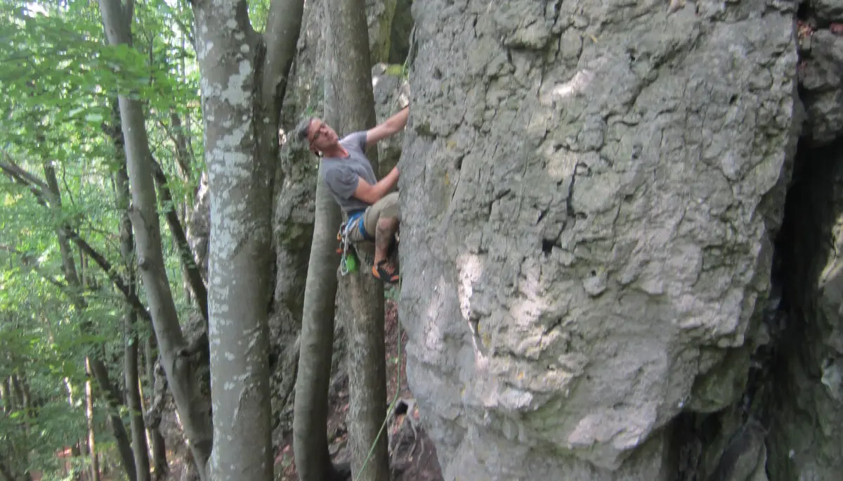 Kletterer erklimmt einen dicken Felsblock in bewaldetem Gebiet. | © DAV Dortmund