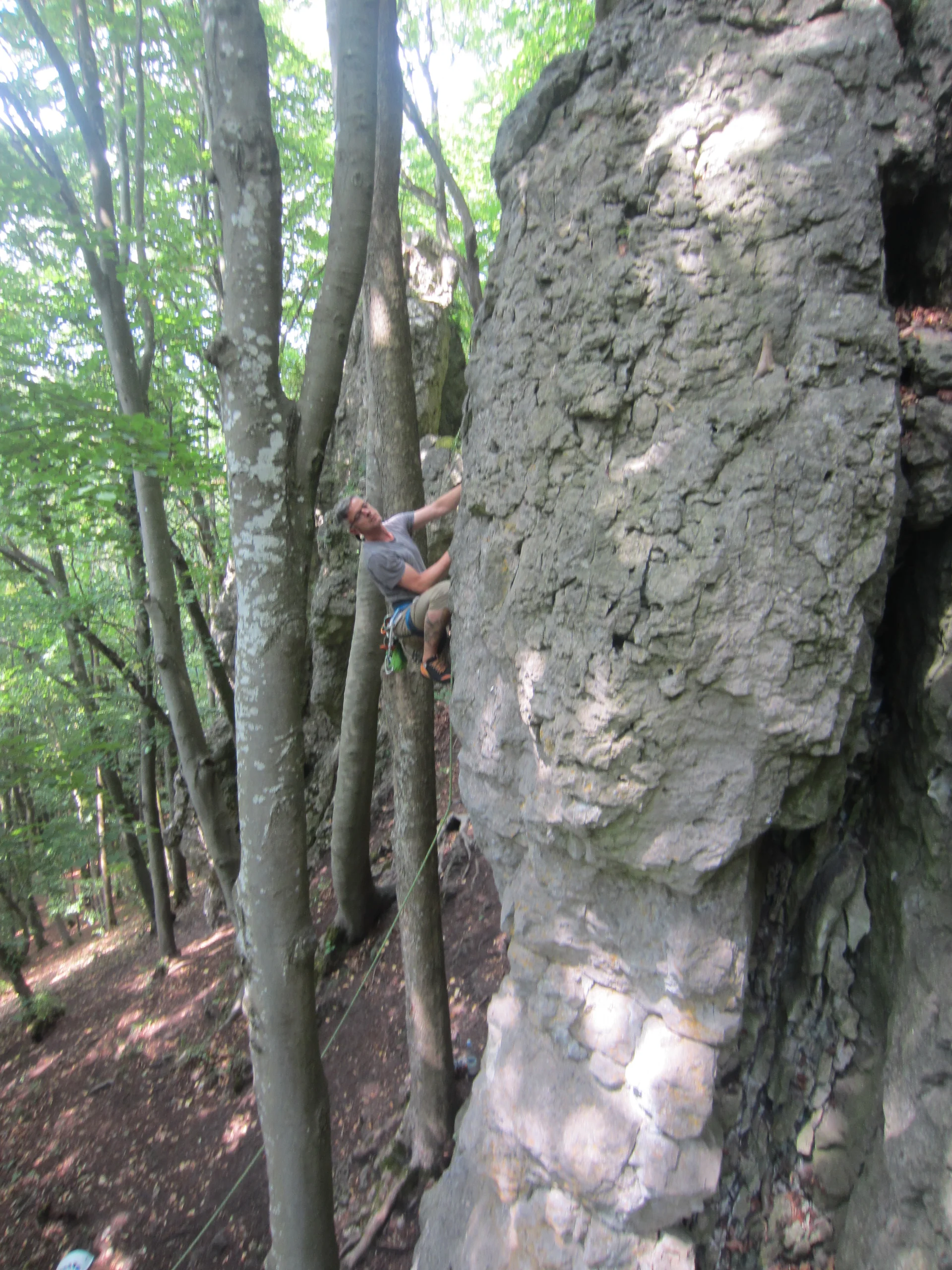 Kletterer erklimmt einen dicken Felsblock in bewaldetem Gebiet. | © DAV Dortmund