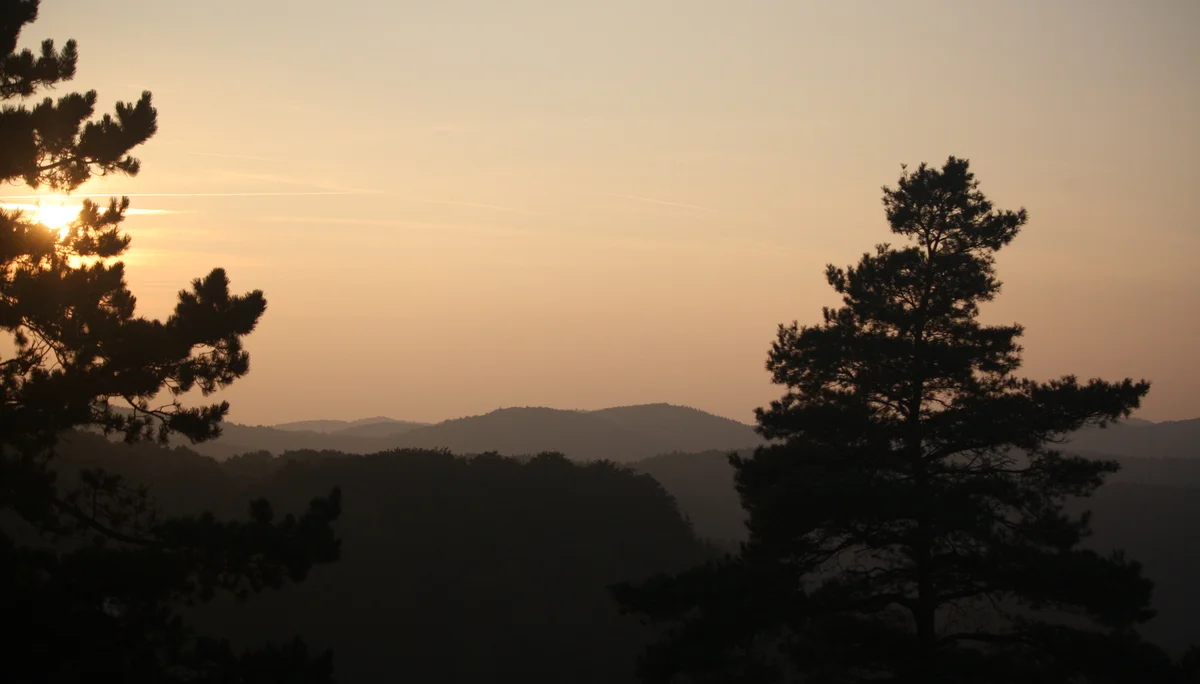 Abendstimmung mit dunklen Bäumen im Vordergrund und Sonnenuntergang in den Hügeln. | © DAV Dortmund