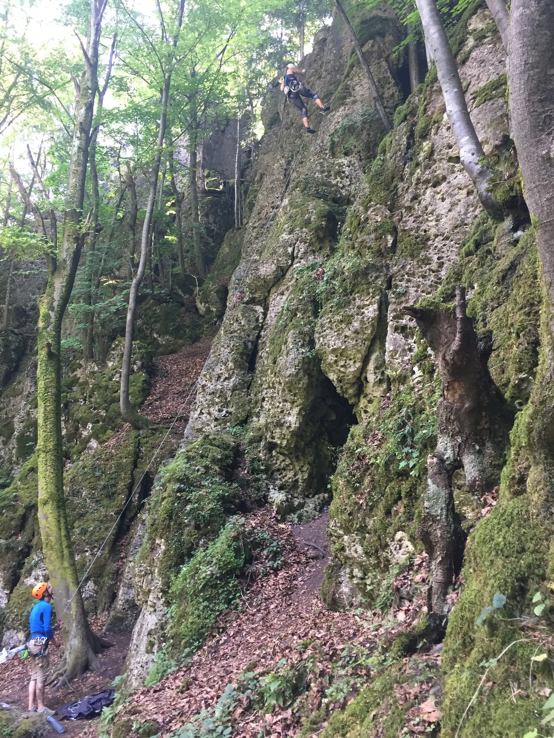 Zwei Personen klettern an einer steilen, moosbewachsenen Felswand im Wald, umgeben von Bäumen. | © DAV Dortmund