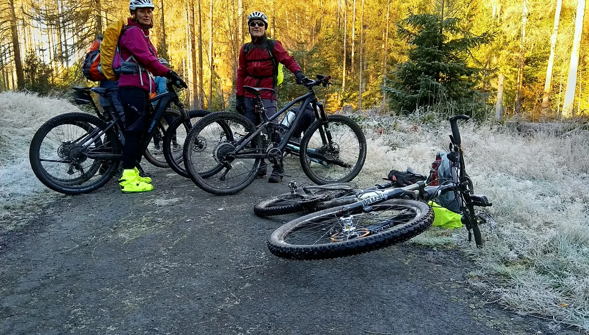 Zwei Personen mit Mountainbikes stehen auf einem Forstweg, zwei Räder liegen auf dem Boden, Sonnenlicht im Wald. | © DAV Dortmund