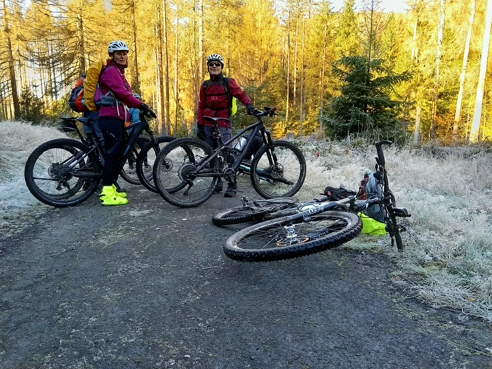 Zwei Personen mit Mountainbikes stehen auf einem Forstweg, zwei Räder liegen auf dem Boden, Sonnenlicht im Wald. | © DAV Dortmund