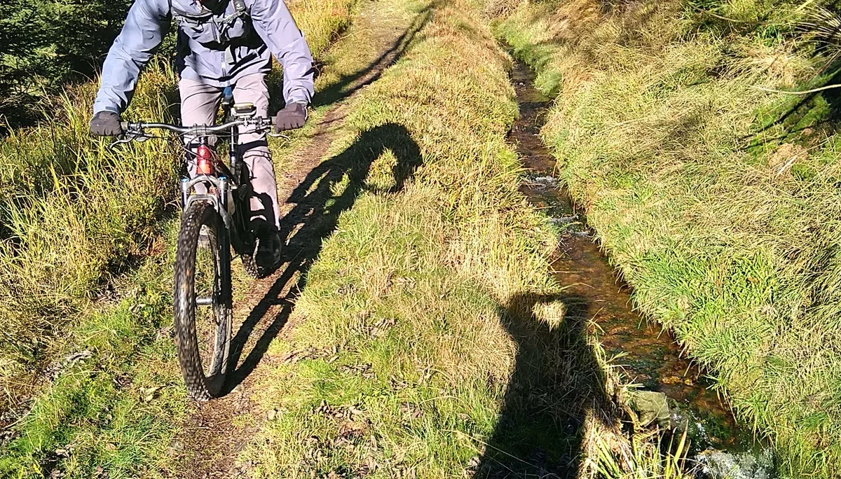 Ein Mountainbiker fährt konzentriert auf einem schmalen Pfad durch den Wald mit Graben rechts. | © DAV Dortmund