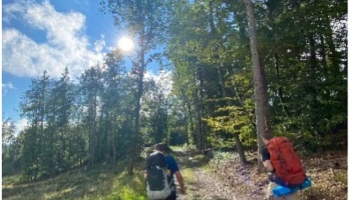 Zwei Wanderer mit Rucksack auf sonnigem Waldweg | © DAV Dortmund