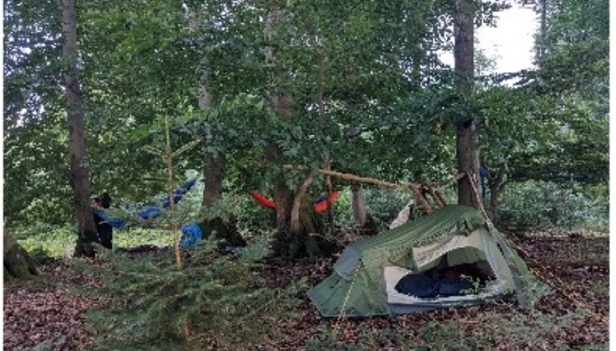Zelt und Hängematten zwischen Bäumen im herbstlichen Wald | © DAV Dortmund