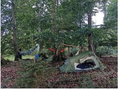 Zelt und Hängematten zwischen Bäumen im herbstlichen Wald | © DAV Dortmund