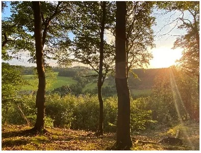 Blick durch Bäume auf hügelige Landschaft bei Sonnenuntergang | © DAV Dortmund
