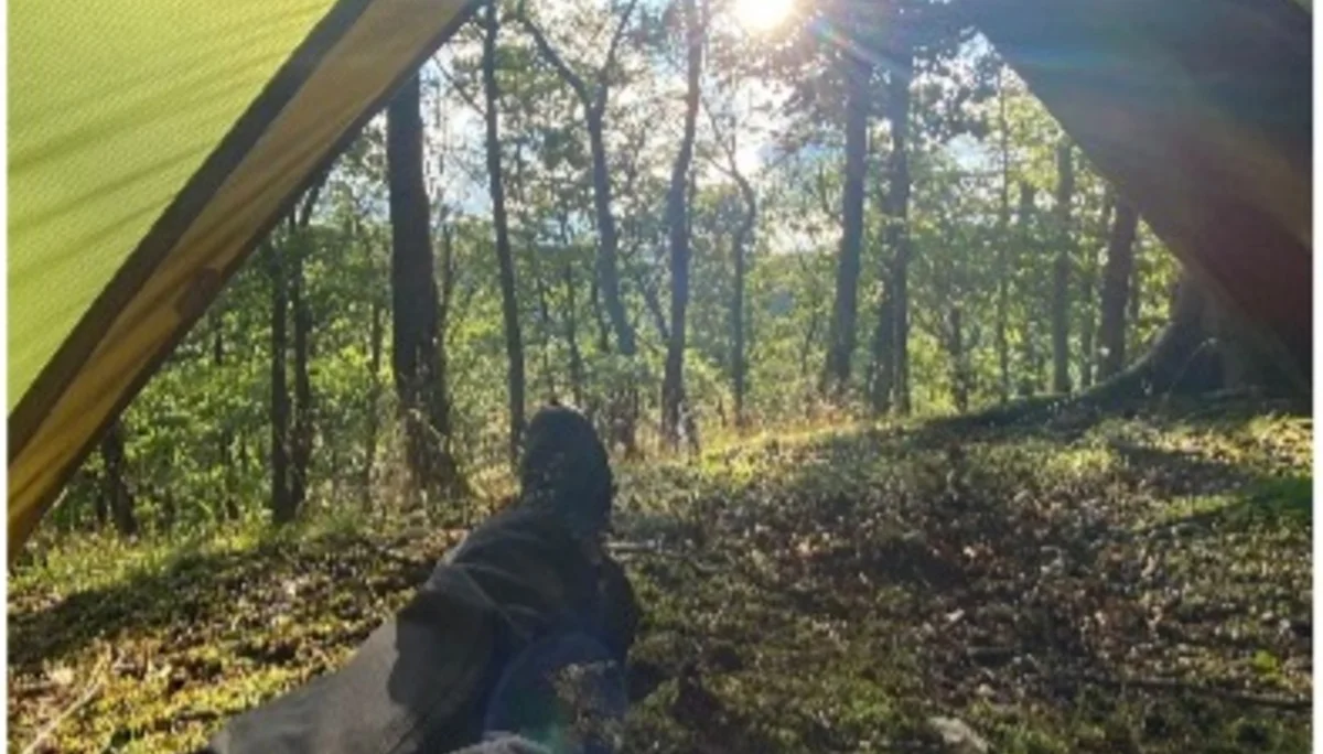 Blick aus einem geöffneten Zelt auf einen sonnigen Wald am Morgen. | © DAV Dortmund