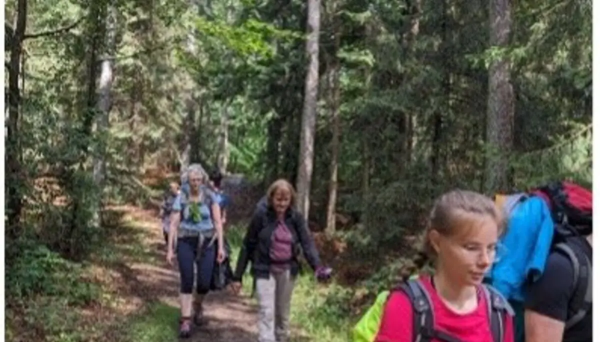 Mehrere Personen wandern mit Rucksäcken durch einen Waldpfad. | © DAV Dortmund