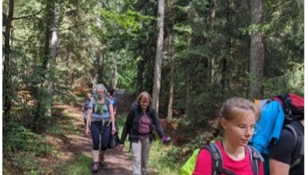Mehrere Personen wandern mit Rucksäcken durch einen Waldpfad. | © DAV Dortmund