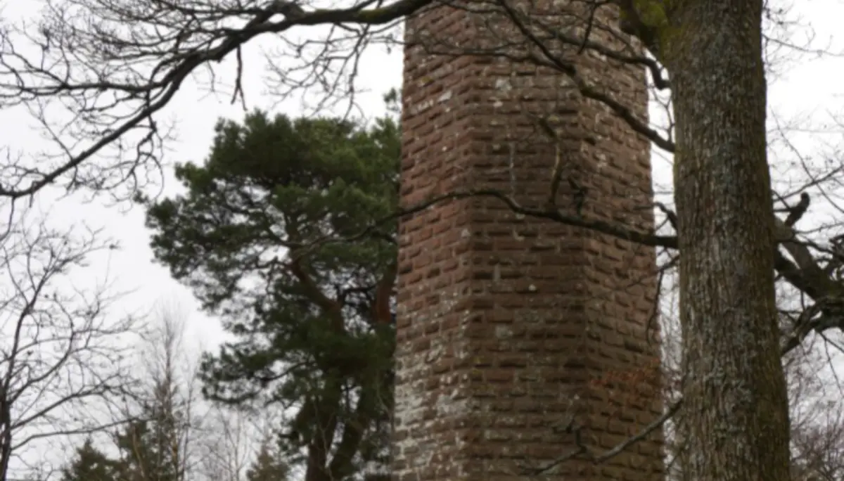 Alter runder Aussichtsturm aus Sandstein zwischen Bäumen im Pfälzerwald. | © DAV Dortmund
