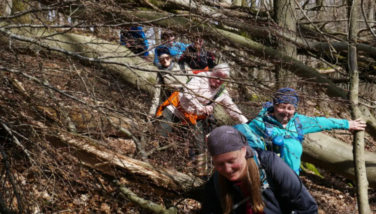 Wandergruppe kämpft sich unter umgestürzten Ästen durch einen dichten Wald. | © DAV Dortmund