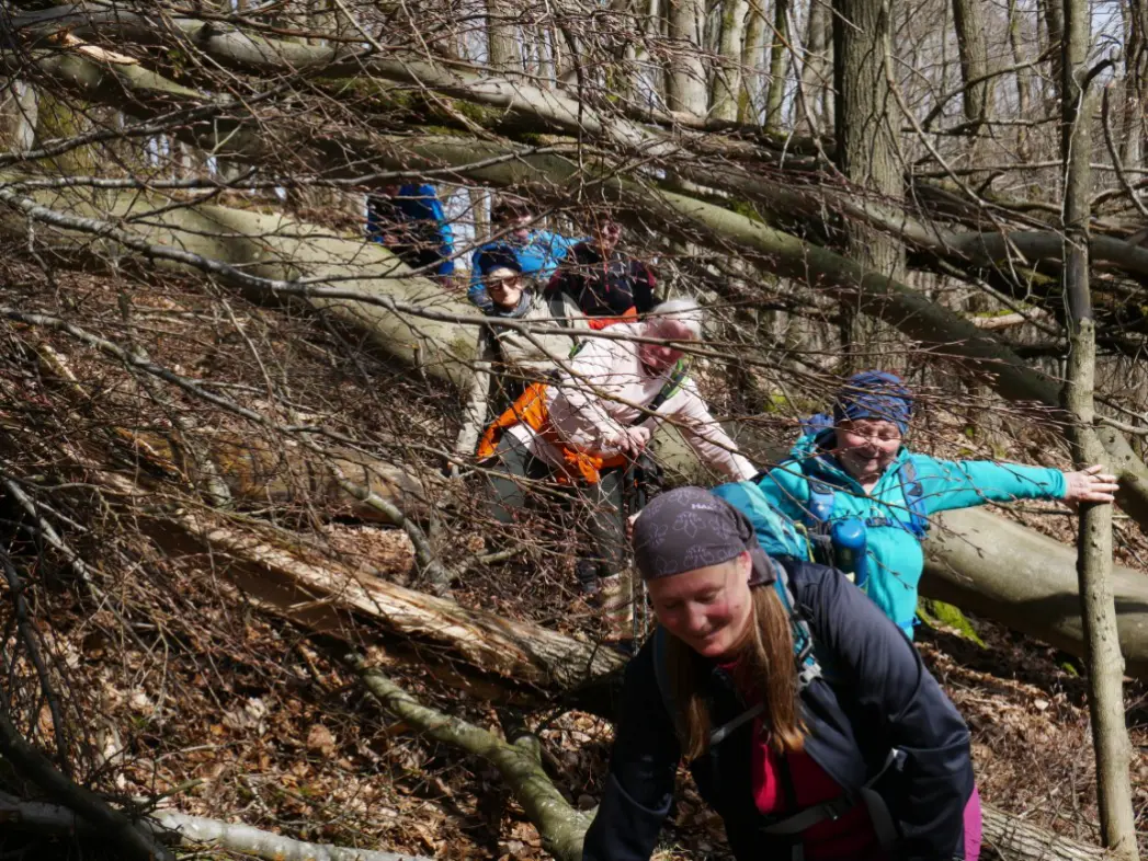 Wandergruppe kämpft sich unter umgestürzten Ästen durch einen dichten Wald. | © DAV Dortmund