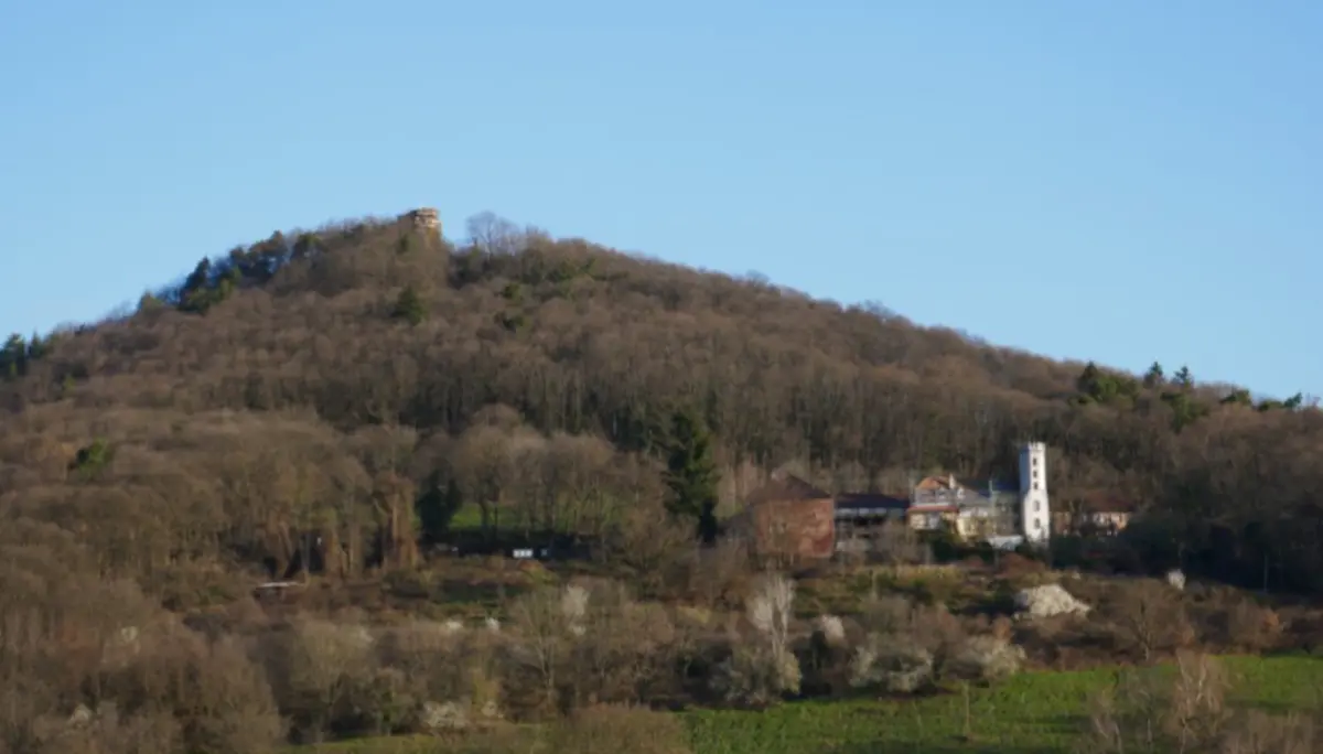 Ansicht eines bewaldeten Hügels mit Klosteranlage und Ruine im Elsass. | © DAV Dortmund
