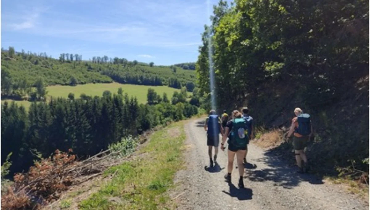 Vier Wandernde gehen auf einem sonnigen Feldweg durch hügelige Landschaft. | © DAV Dortmund