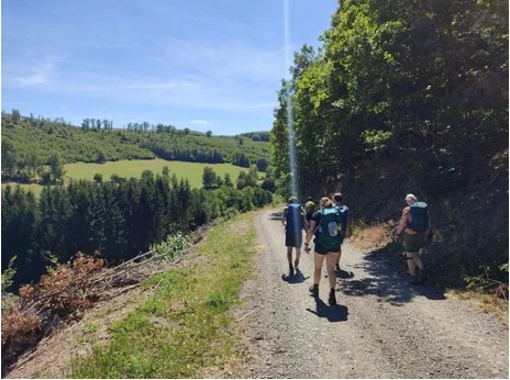 Vier Wandernde gehen auf einem sonnigen Feldweg durch hügelige Landschaft. | © DAV Dortmund